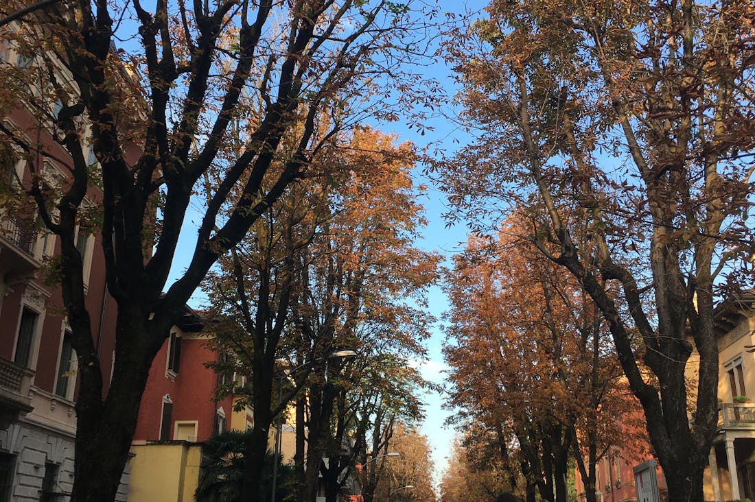 The Art of Travel Planning: Crafting Memorable Experiences on a Budget Image 3