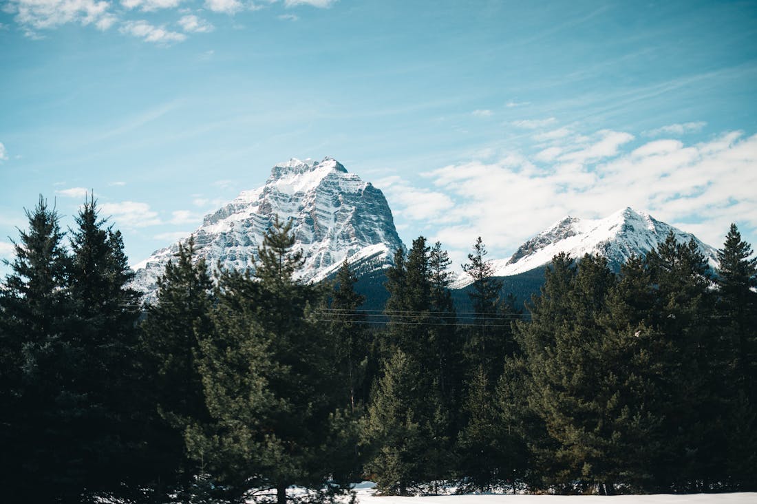 The Changing Landscape of Travel: How Sustainable Practices are Shaping Tourism Image 2