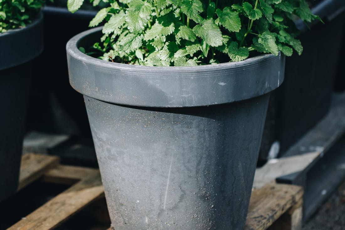 The Conscious Traveler: Making Ethical Choices for Sustainable Journeys Image 3