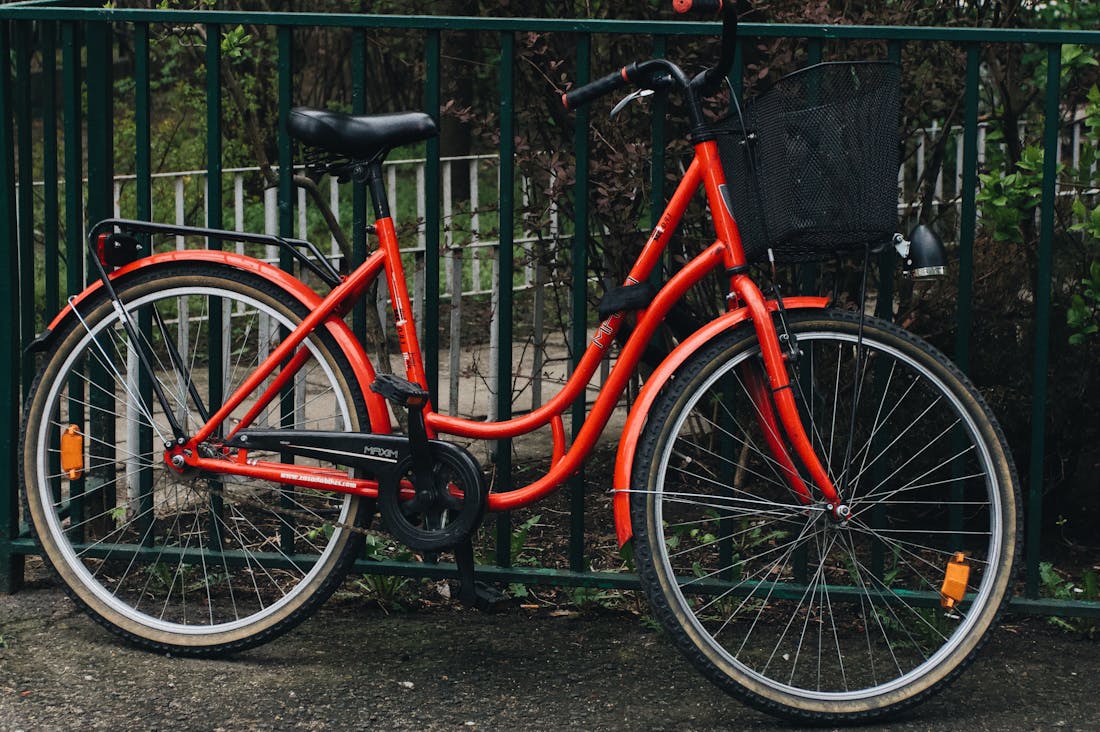 The Eco-Conscious Traveler: How to Make Sustainable Choices While Exploring the World Image 2