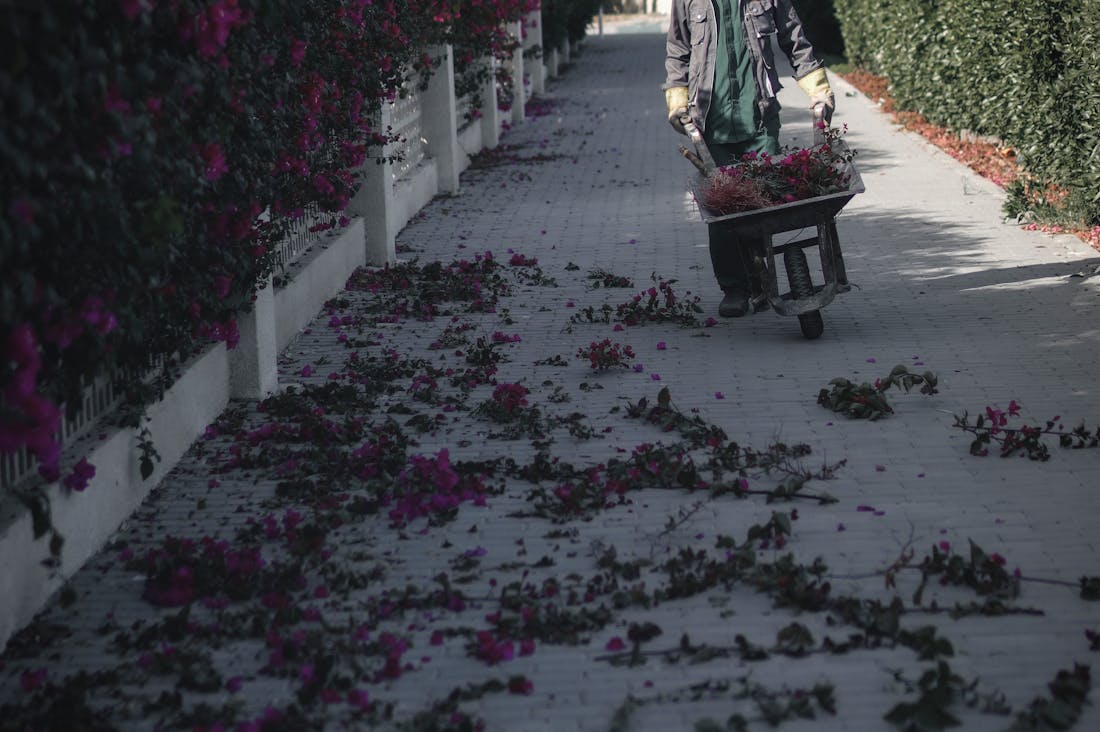 The Essential Guide to Auto Maintenance: How Regular Care Extends Vehicle Life Image 3