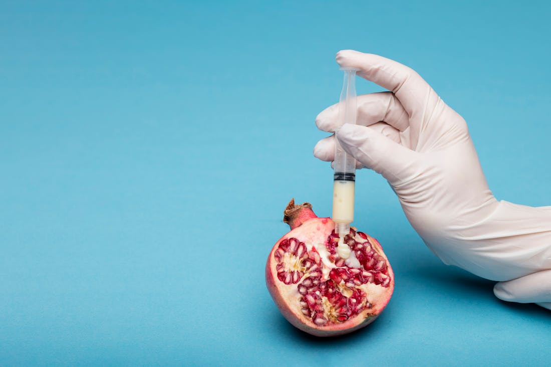 The Essential Guide to Understanding Nutrition for a Healthier Lifestyle