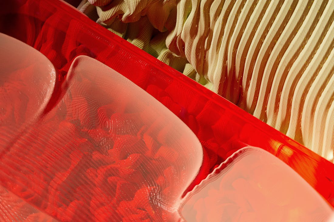 The Ethics of AI: Where Do We Draw the Line?