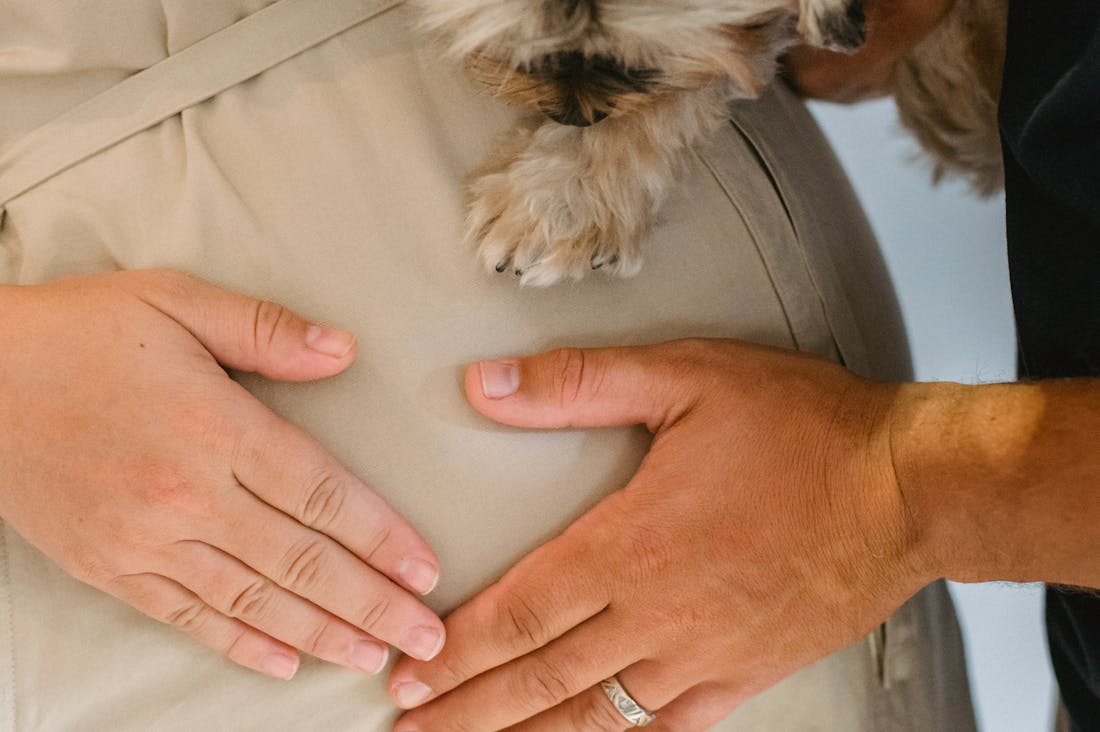 The Evolution of Automotive Technology: How Smart Cars are Redefining the Future of Driving Image 3