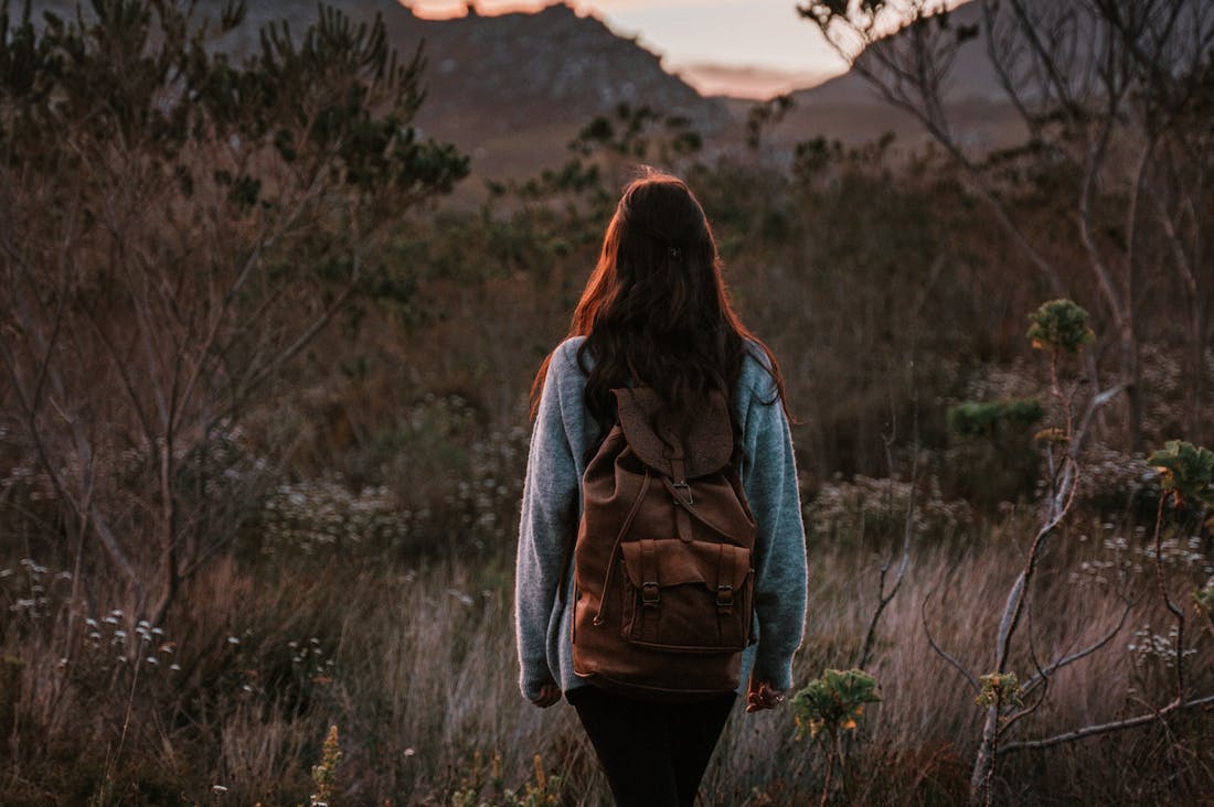 The Evolution of Sustainable Travel: Embracing Eco-Friendly Journeys for a Changed World Image 3