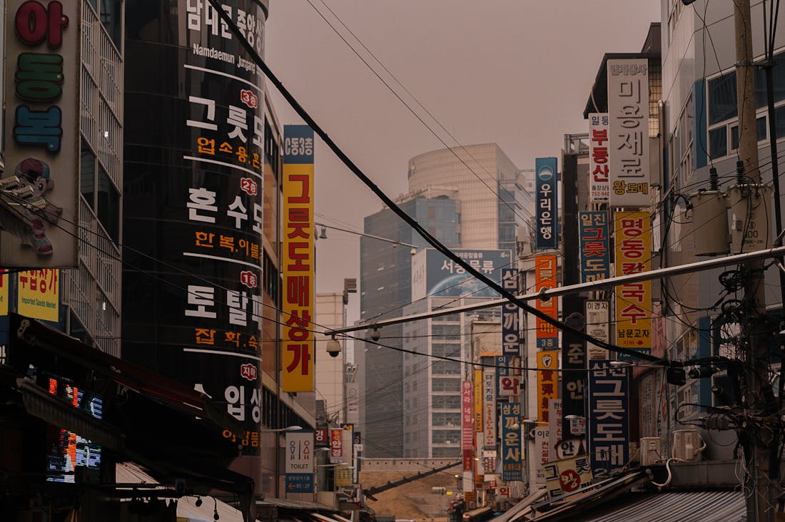 The Future of Automotive Technology: How Electric Vehicles Are Changing the Road Ahead Image 1