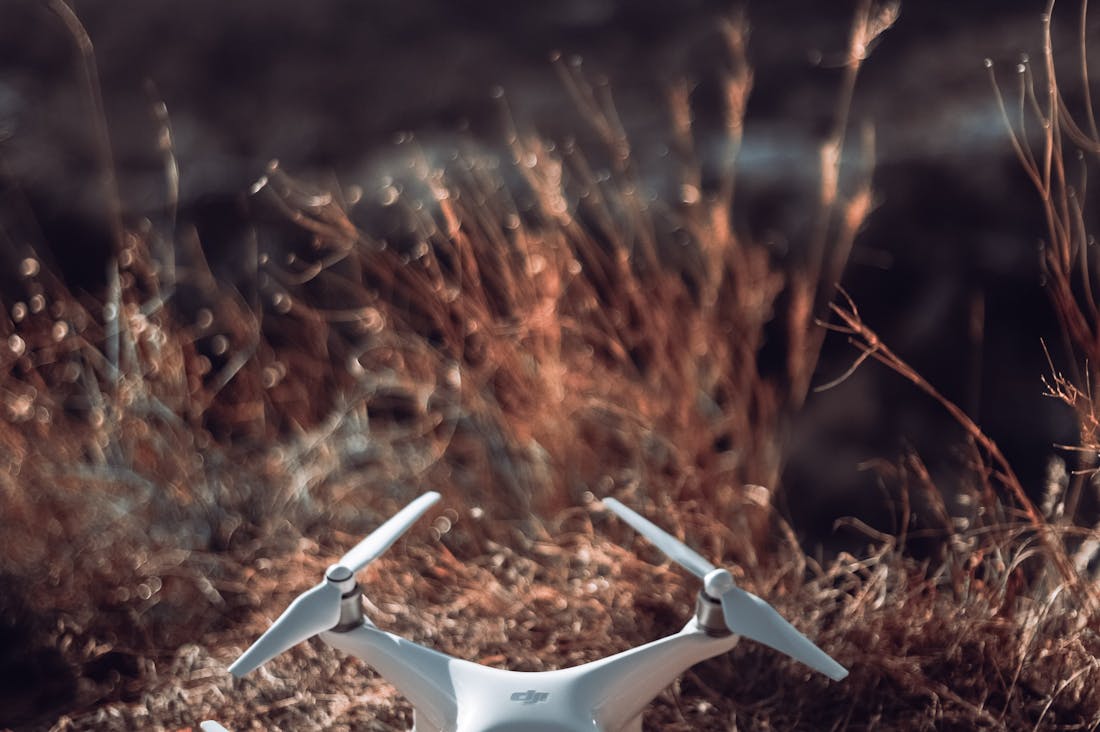 The Future of Automotive Technology: Innovations Driving Sustainability and Safety on Our Roads Image 1