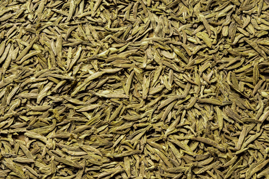 The Future of Electric Vehicles: Transforming Auto Industry and Sustainable Travel for a Greener Tomorrow Image 2