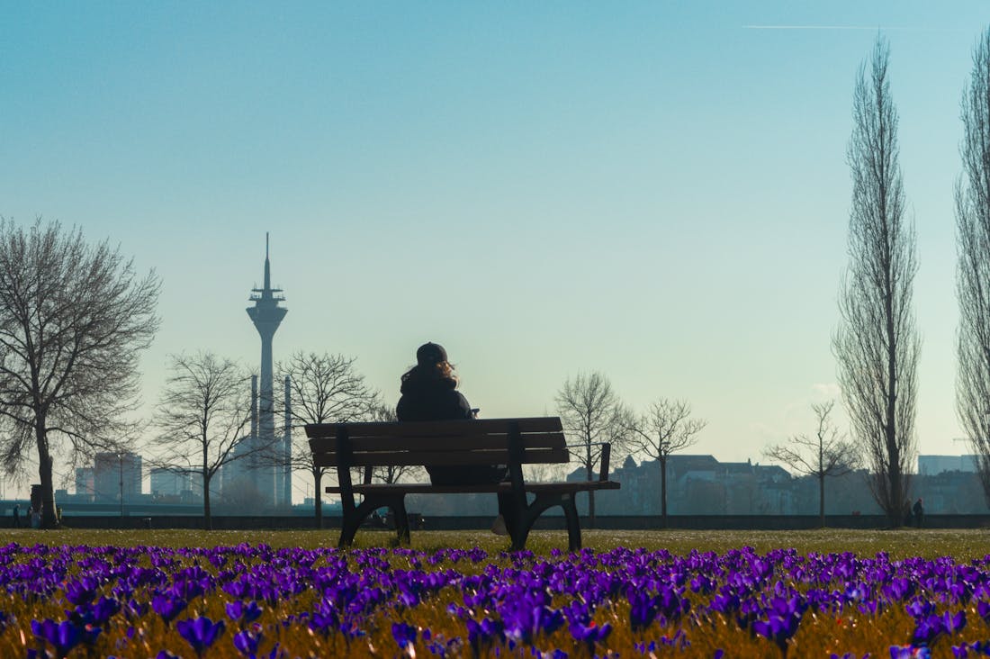 The Future of Electric Vehicles: Trends, Innovations, and Their Impact on Urban Mobility Image 2