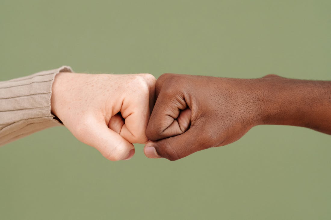 The Future of Financial Freedom: Exploring Alternative Investments and Their Impact on Wealth Generation Image 1