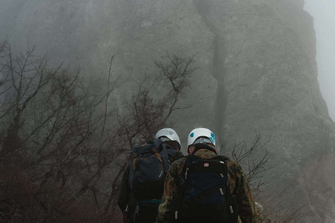 The Future of Mobility: How Electric Vehicles are Shaping the Auto Industry Image 2