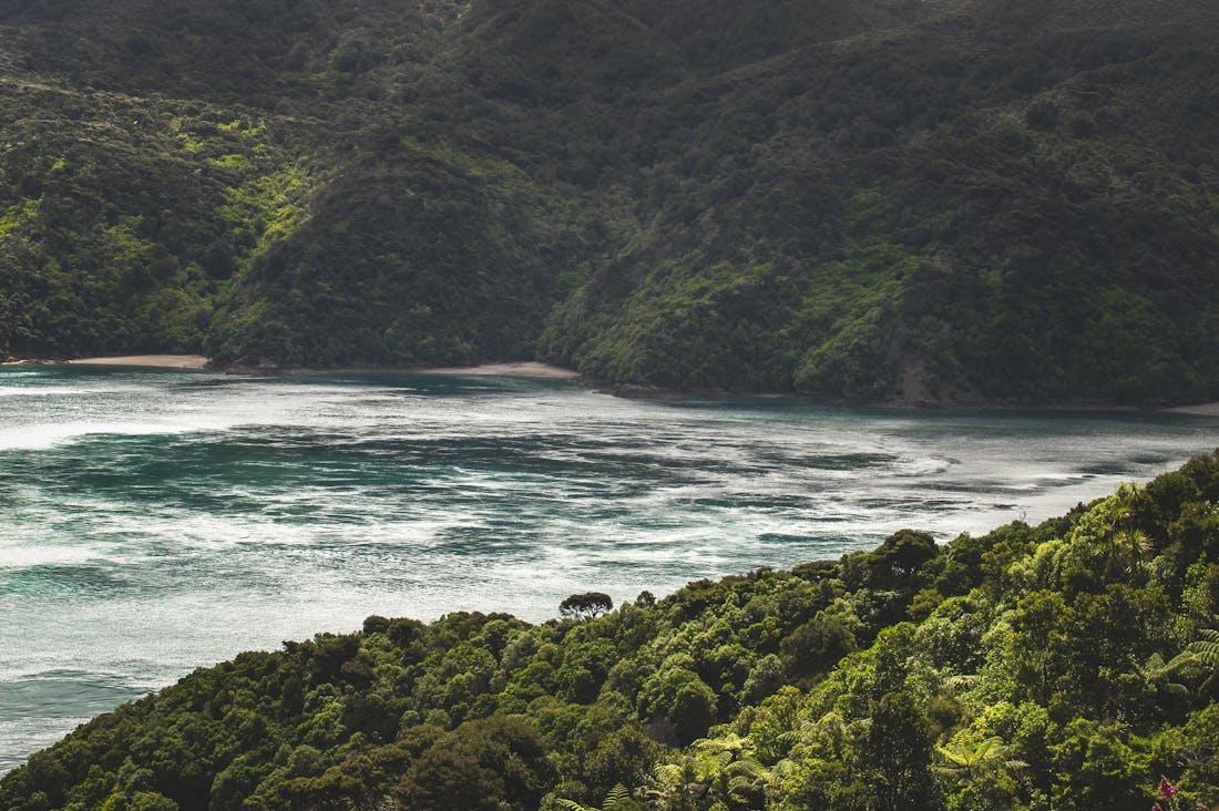 The Future of Sustainable Travel: Exploring Eco-Friendly Destinations and Practices Image 2