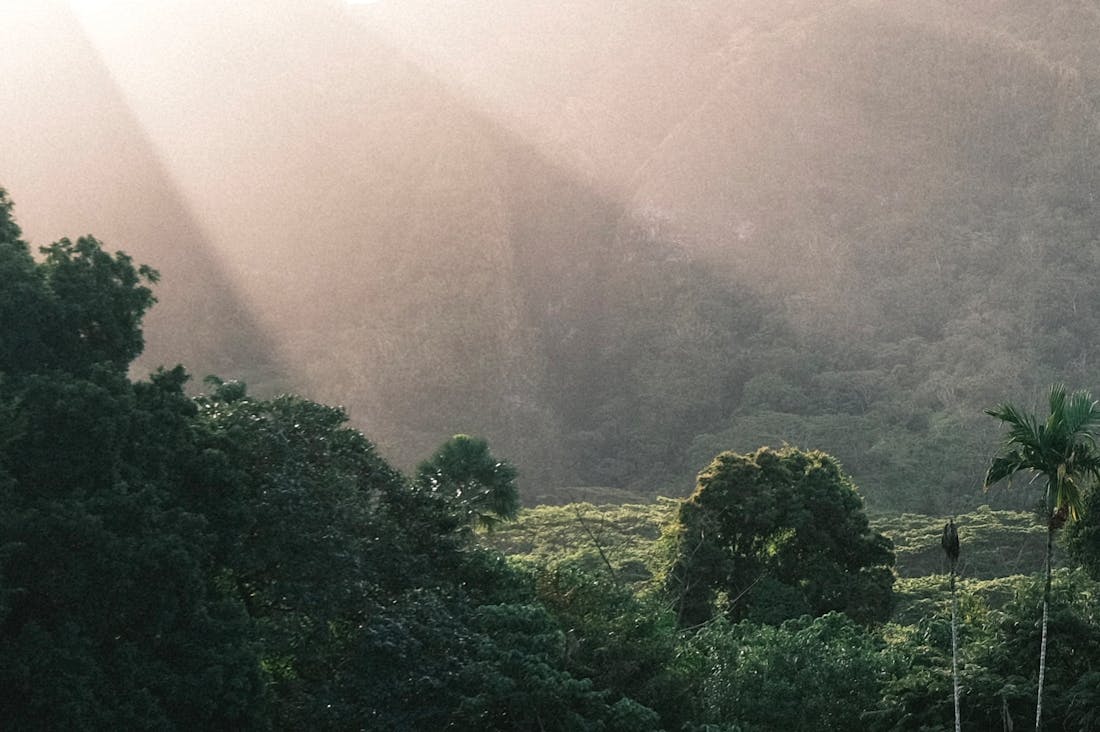 The Future of Sustainable Travel: Navigating Eco-Friendly Practices for Modern Adventurers Image 2