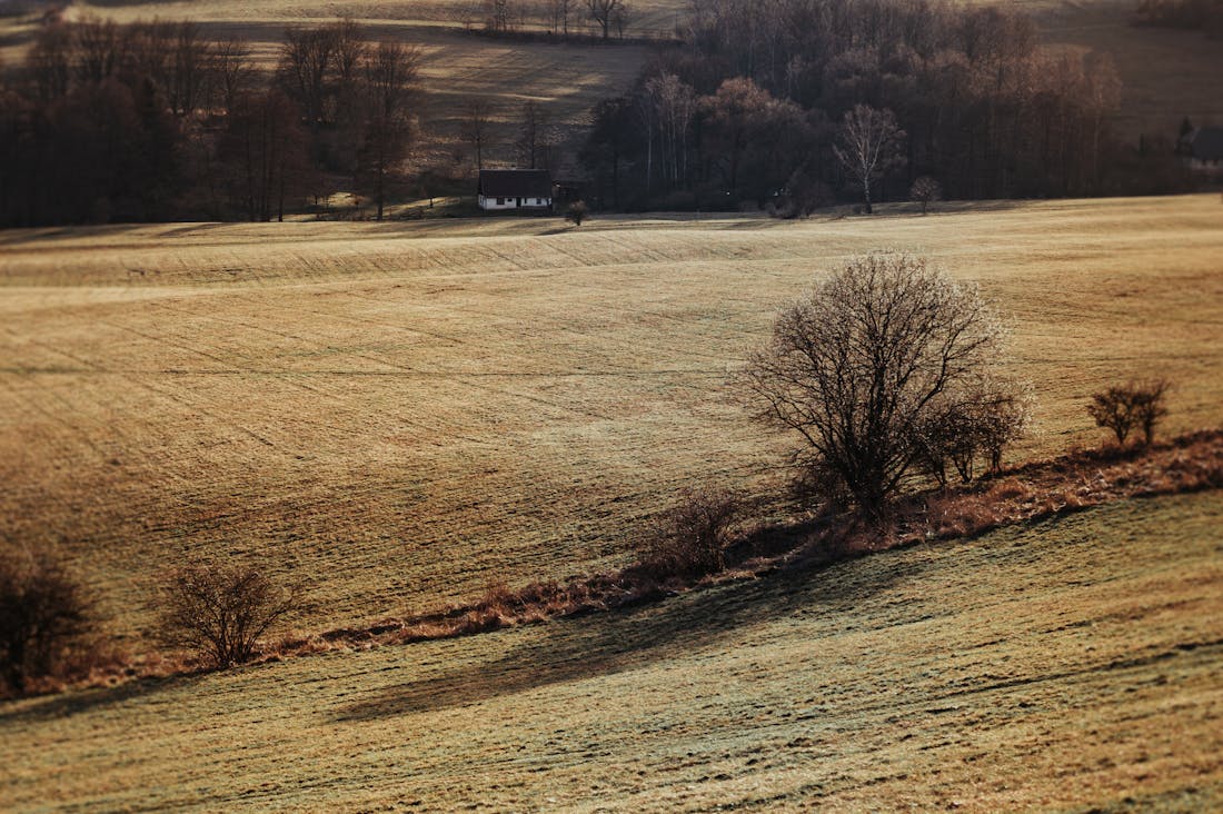 The Future of Sustainable Travel: Navigating Eco-Friendly Practices for Modern Adventurers Image 3