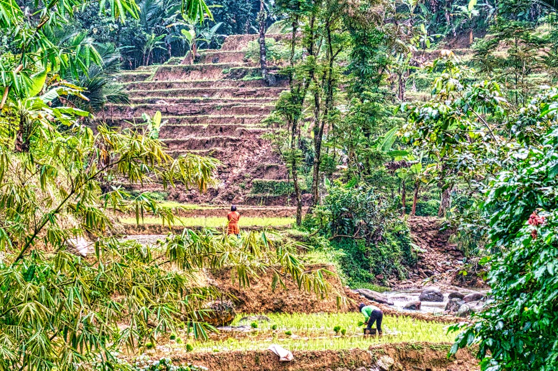 The Future of Sustainable Travel: Transforming How We Explore the World Responsibly Image 1