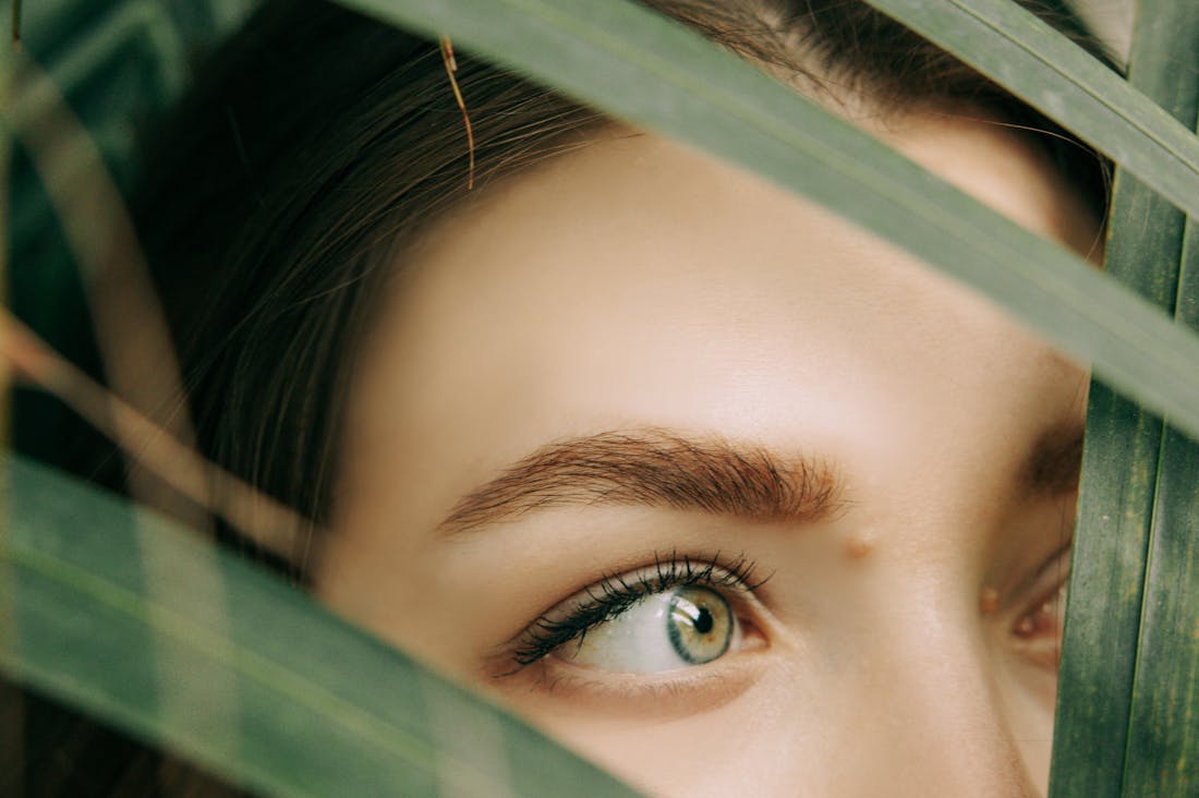 The Future of Sustainable Travel: Transforming How We Explore the World Responsibly Image 3