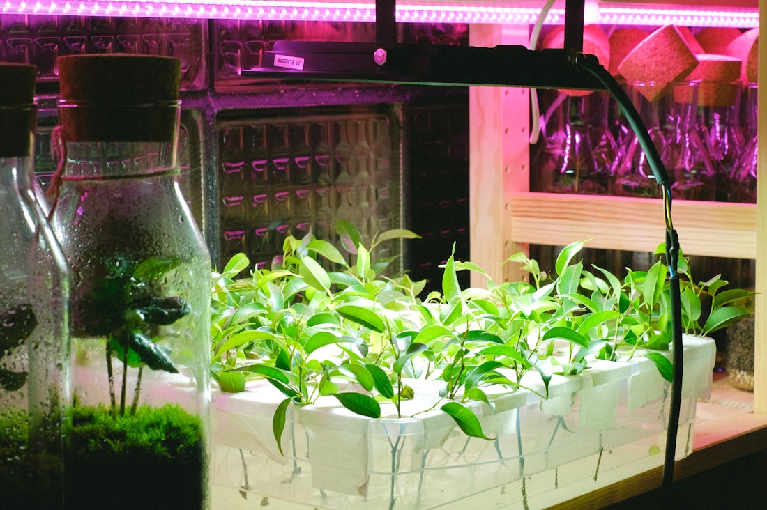 The Future of Tech: Trends Shaping Our World in the Coming Years Image 3