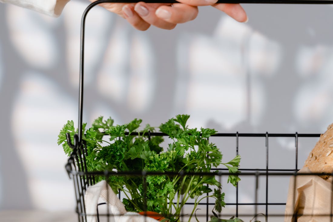 The Future of Transportation: How Eco-Friendly Innovations Are Shaping Our Auto Industry Image 3