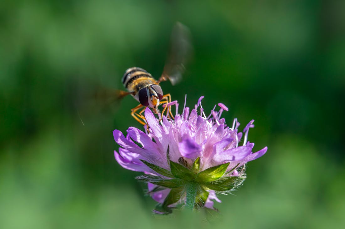 The Future of Travel: Embracing Sustainable Practices for a Greener Planet Image 3