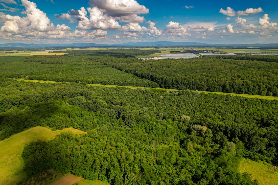 The Future of Travel: Embracing Sustainable Practices in Modern Exploration Image 1