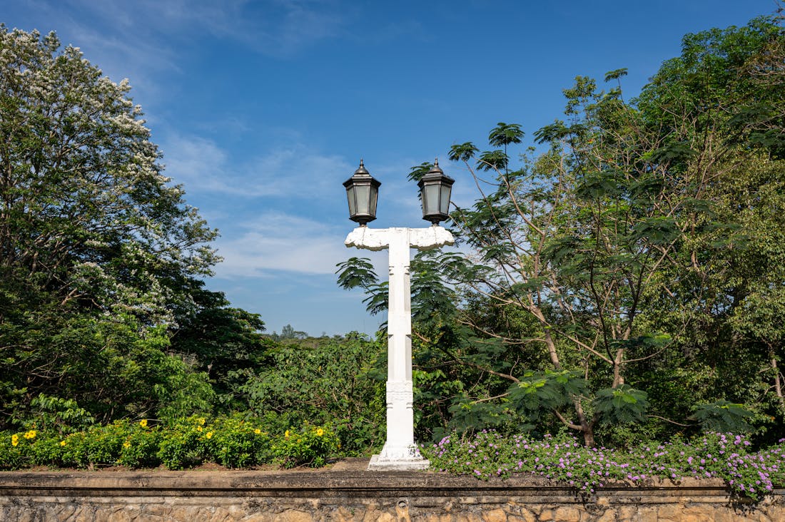 The Future of Travel: Exploring Sustainable Practices for Eco-Conscious Voyagers Image 1