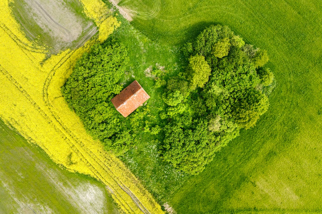 The Future of Travel: Sustainable Practices and How They Impact Your Adventures Around the Globe Image 3