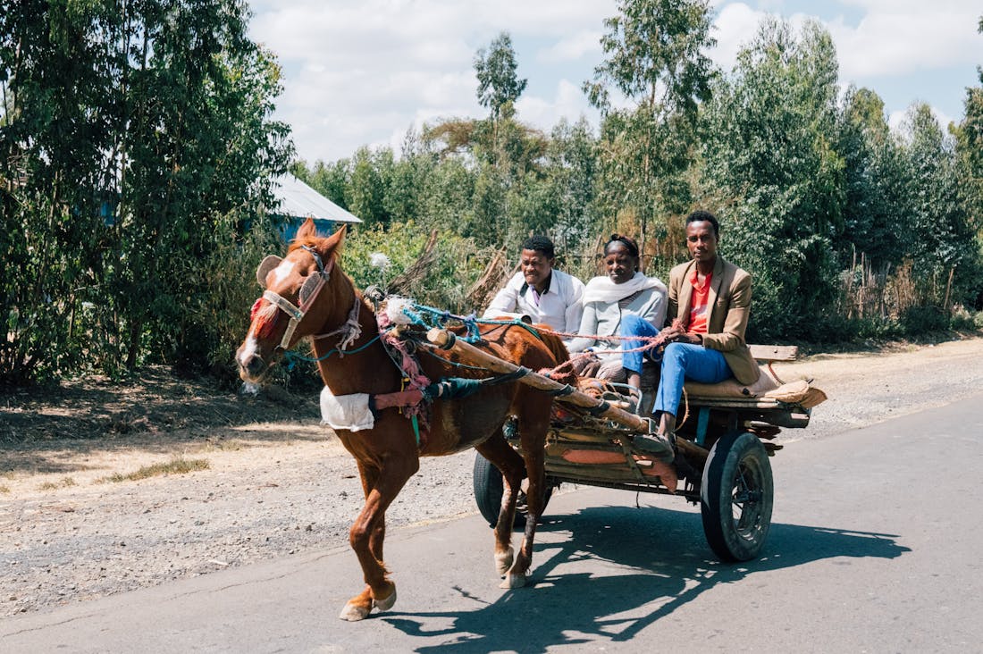 The Future of Travel: Sustainable Practices That Aren't Just a Trend and How to Embrace Them Image 2