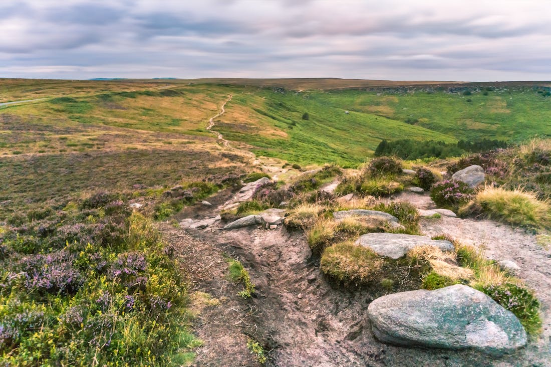 The Future of Travel: Sustainable Tourism Trends to Explore Image 2