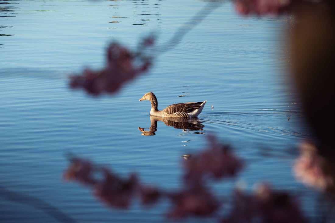 The Future of Work: Adapting to Changing Technologies and Work Environments Image 1