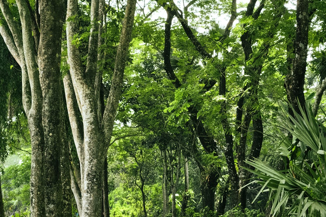 The Green Revolution: Sustainable Travel Practices for a Better Future Image 1