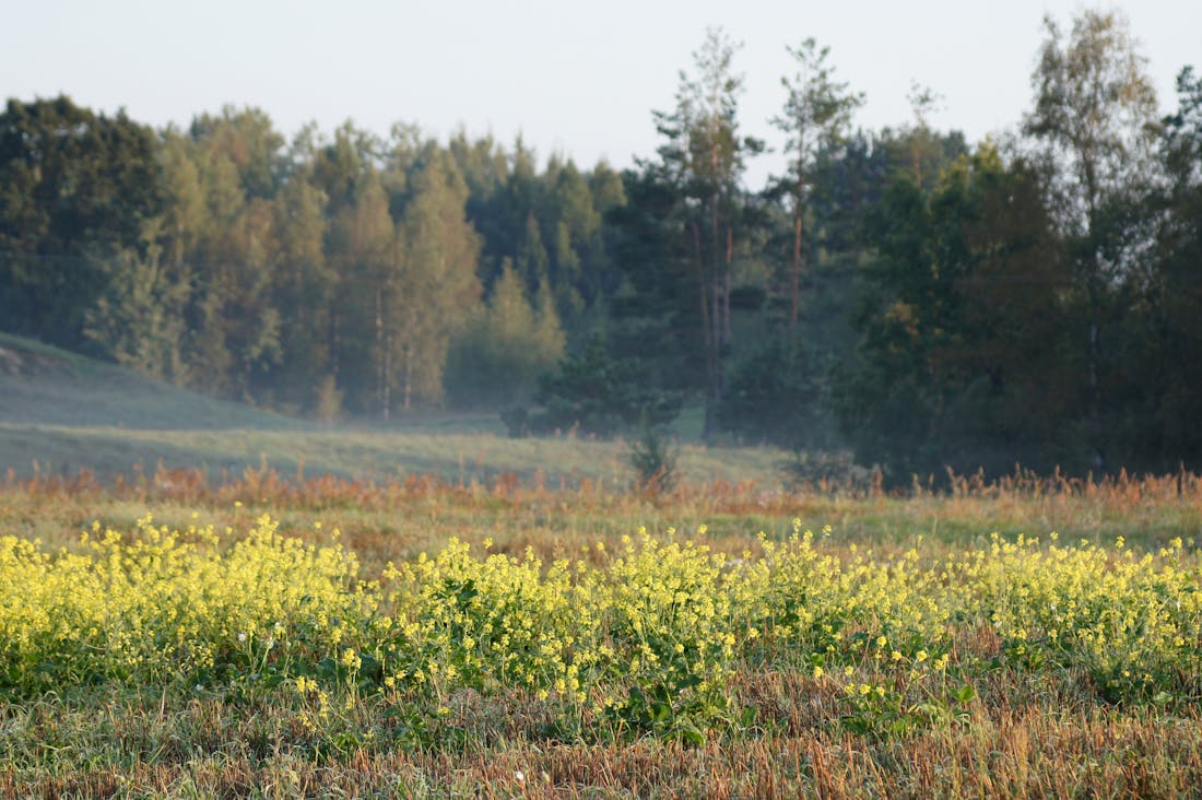 The Green Revolution: Sustainable Travel Practices for a Better Future Image 3