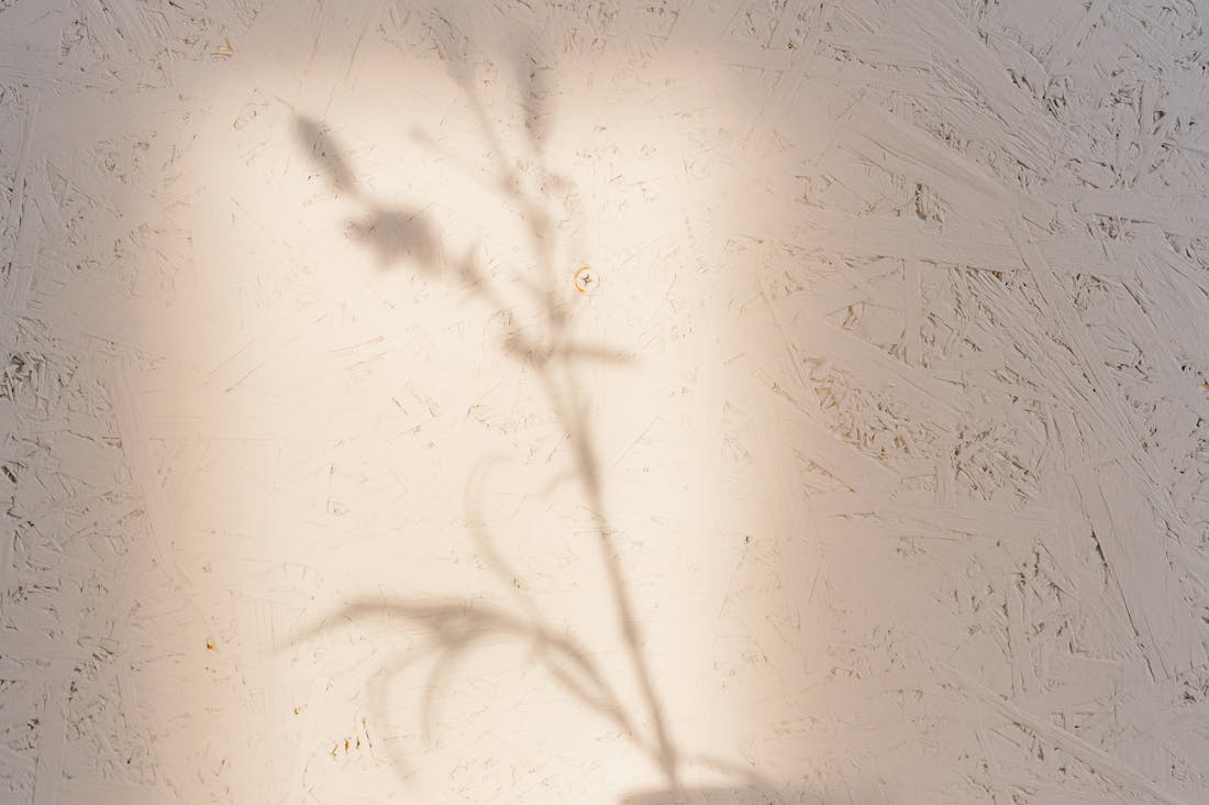 The Holistic Approach to Mental Well-Being: Balancing Work, Life, and Self-Care Image 2