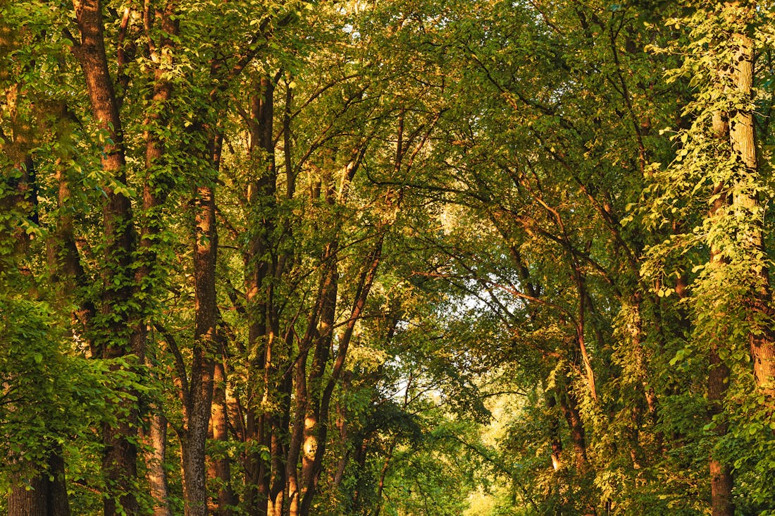 The Impact of Travel on Personal Growth: How Exploring the World Expands Your Horizons Image 1