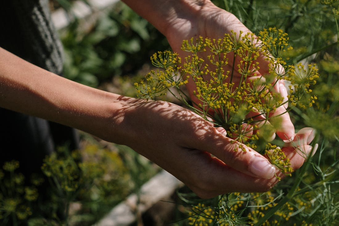 The Impacts of Technology on Everyday Health: Enhancing Wellness Through Digital Solutions