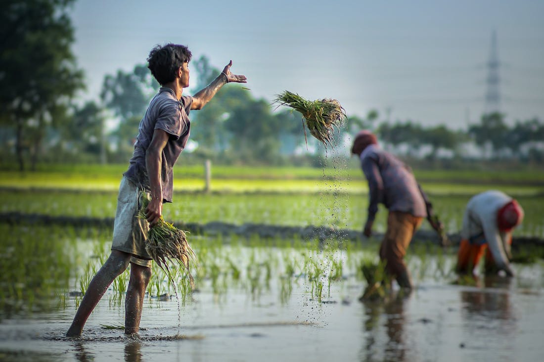 The Importance of Mental Health: How to Cultivate Inner Peace and Resilience in a Chaotic World Image 2