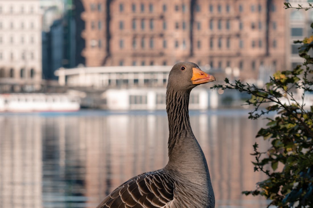 The Intersection of Health and Technology: How Wearable Devices Are Transforming Personal Wellness Image 2