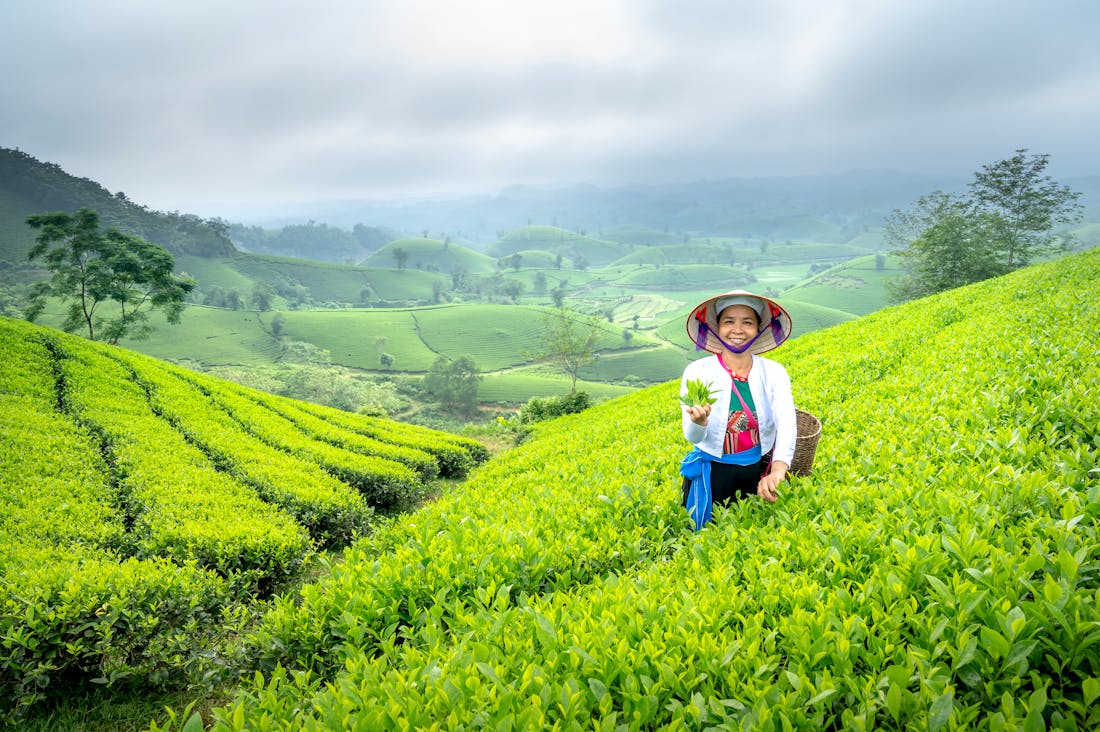 The Intersection of Sustainable Travel, Lifestyle Choices, and Environmental Awareness Image 1