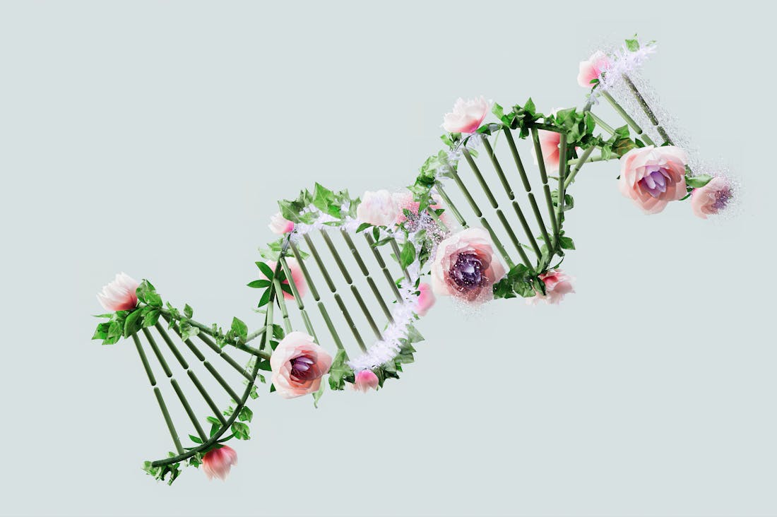 The Intersection of Technology and Lifestyle: Embracing Innovation for a Balanced Life Image 1