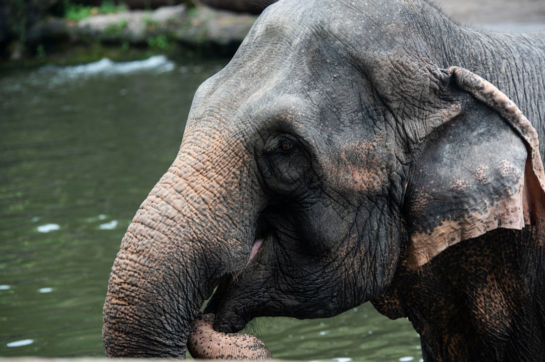 The Modern Gentleman: Essential Skills and Values for Today's Man Image 2