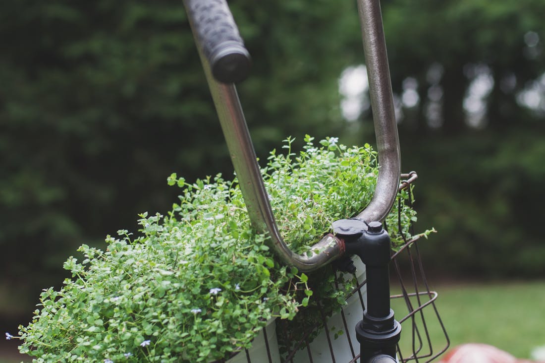 The Modern Traveler: Embracing Sustainable Practices for a Greener Adventure Image 2