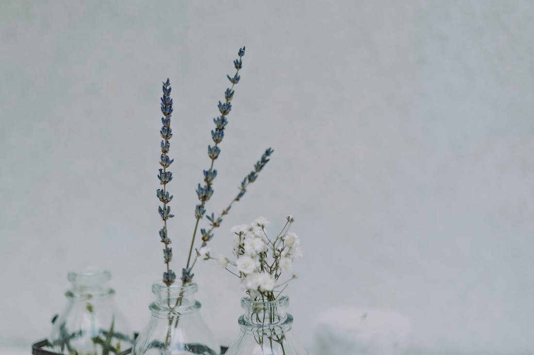 The Power of Mindfulness: How Practicing Gratitude Can Improve Your Mental Health Image 3