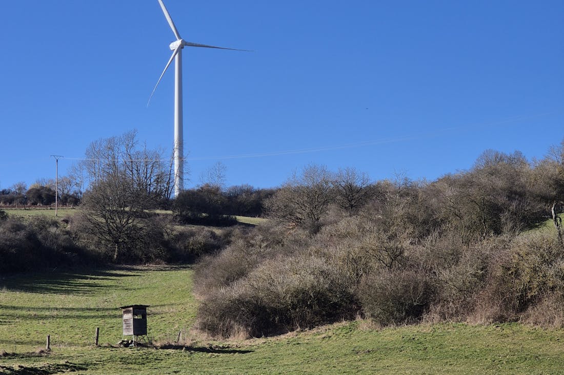 The Rise of Eco-Friendly Tech: Innovating for a Sustainable Future Image 1