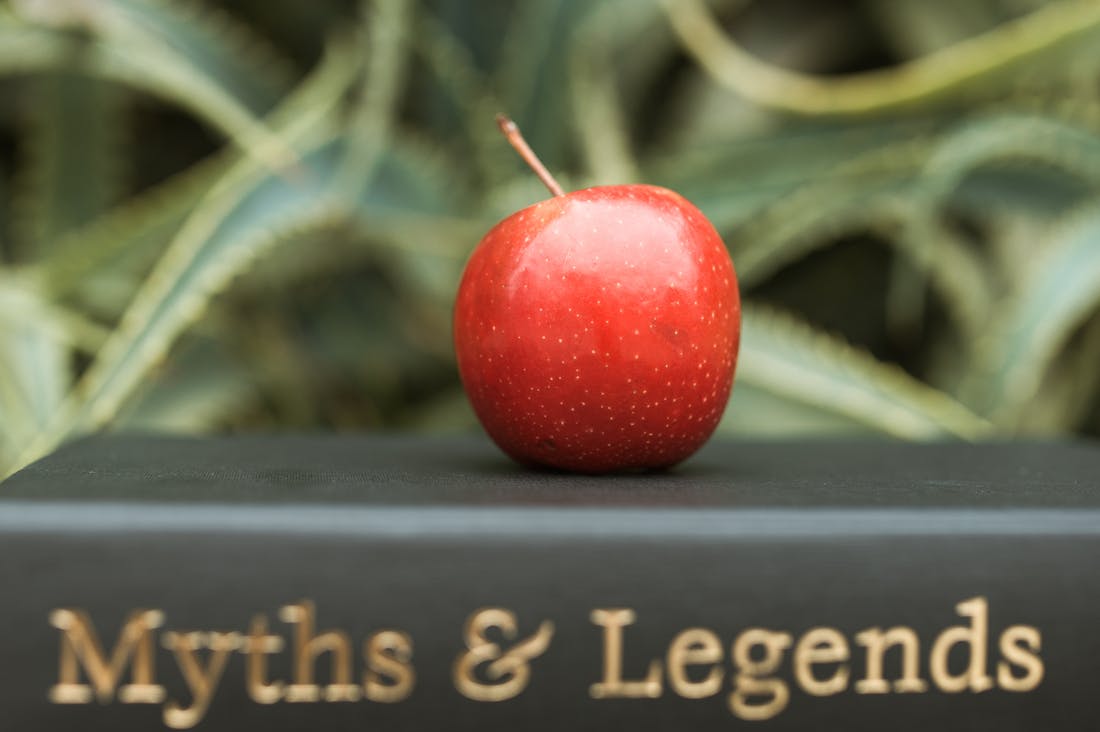 The Rise of Electric Vehicles: Understanding the Benefits and Future of Sustainable Transportation Image 3