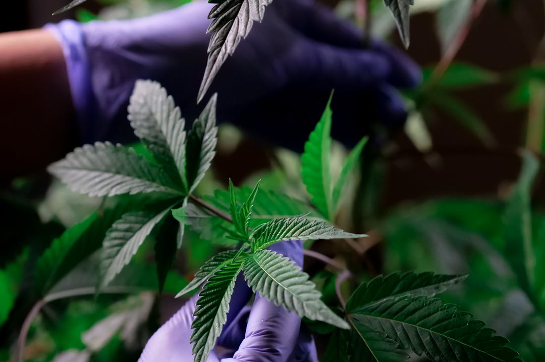 The Rise of Mindful Automobility: How to Drive with Intention and Care Image 2