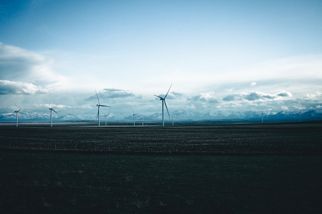 The Rise of Sustainable Travel: Eco-Friendly Tips for Your Next Adventure Image 2