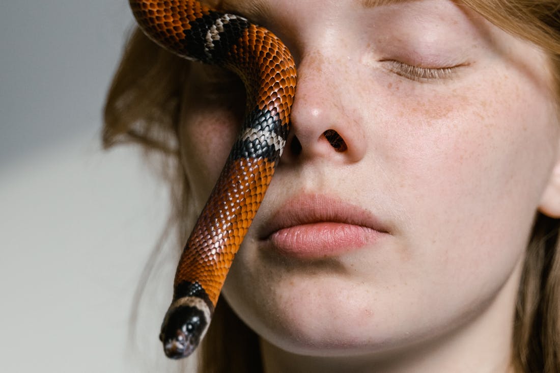 The Role of Mindfulness in Everyday Life: Techniques to Enhance Your Daily Routine Image 3