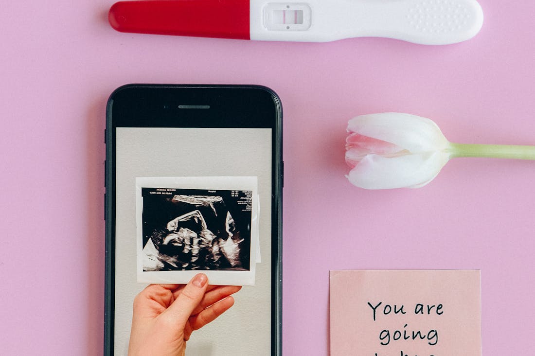 The Role of Technology in Wellness: How Digital Tools Are Enhancing Personal Health Image 1