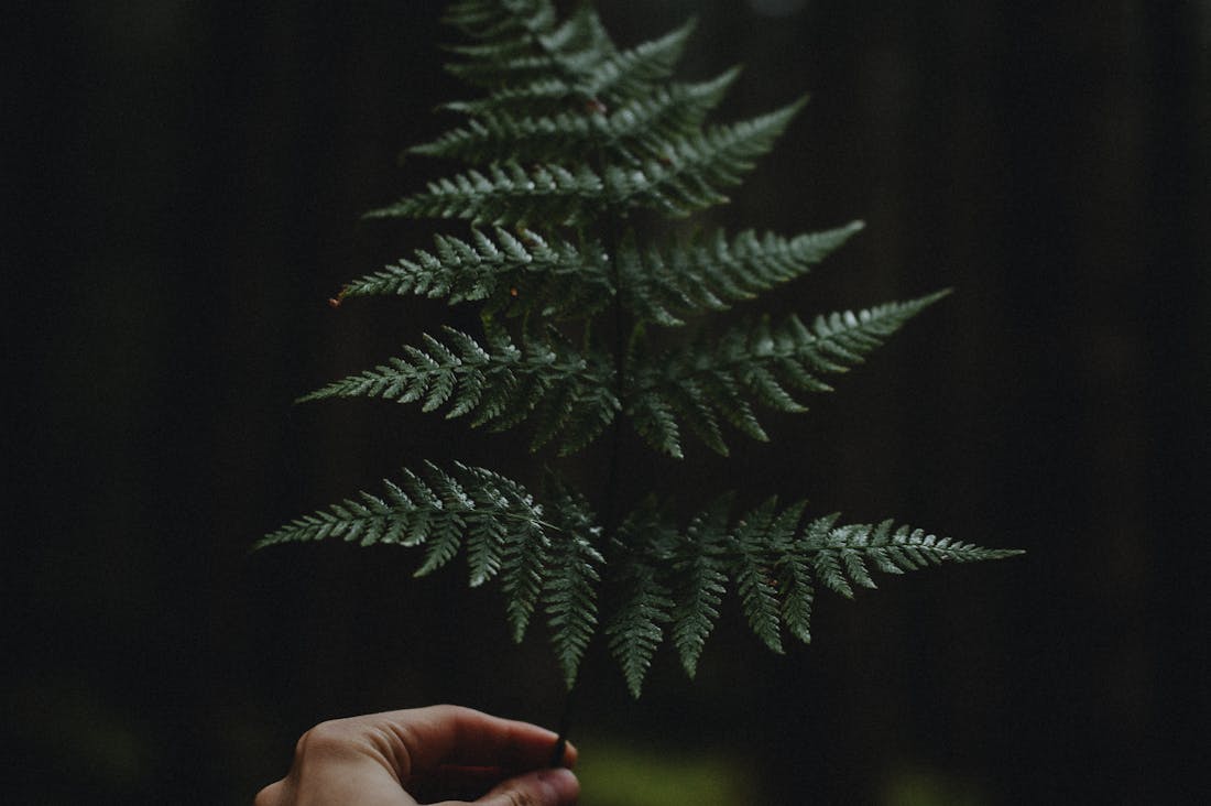 The Spiritual Side of Travel: Cultivating Connection, Introspection, and Adventure on Your Journeys Image 2