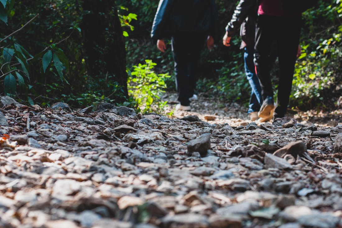 The Sustainable Traveler: Embracing Eco-Friendly Practices on Your Adventures Image 2