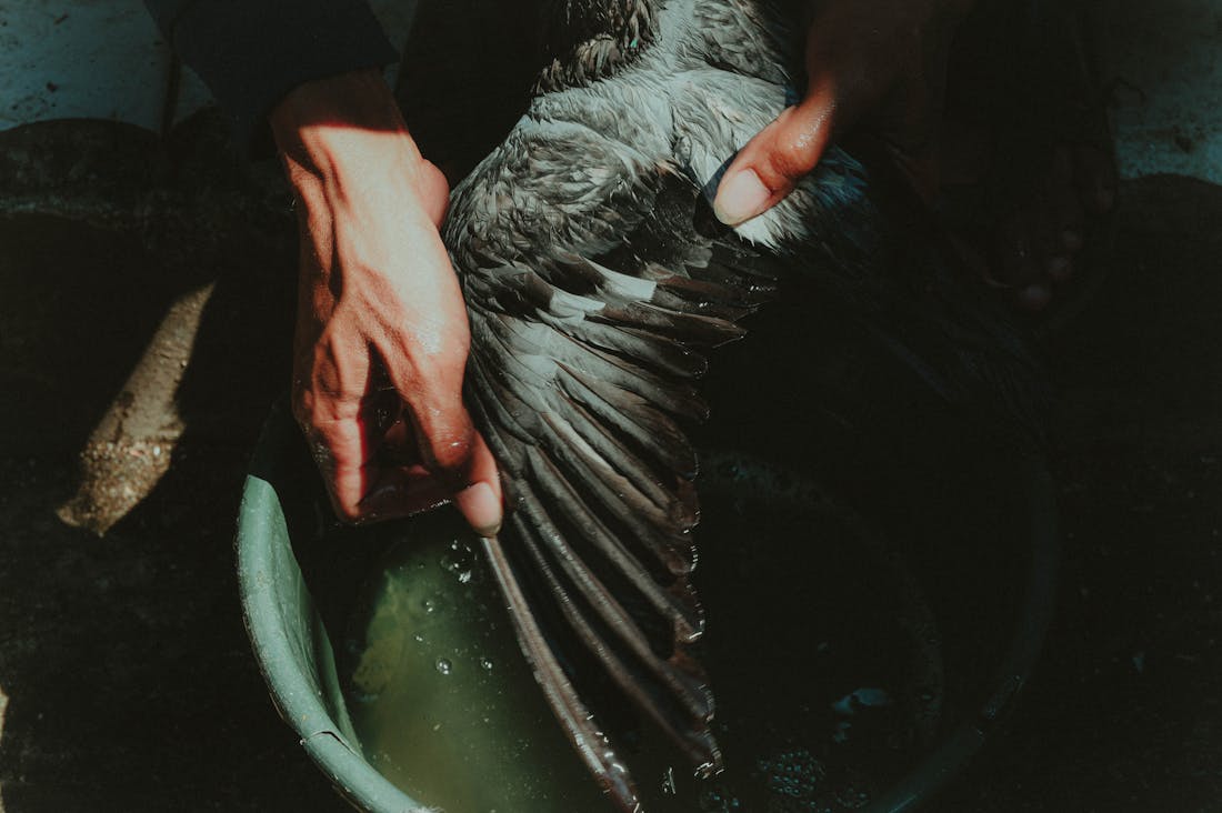 The Sustainable Traveler's Guide: Exploring Eco-Friendly Destinations and Practices Image 3